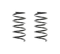 Set Di Molle Della Sospensione Anteriore 300Mm SPIDAN Per RENAULT TWINGO I