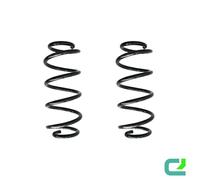 Set Di Molle Della Sospensione Anteriore 322Mm SPIDAN Per AUDI A4 B6