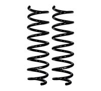 Set Di Molle Della Sospensione Posteriore Ø 12,3 Mm 384 Mm EIBACH Per BMW 5