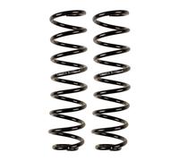 Set Di Molle Della Sospensione Posteriore BILSTEIN B3 Per RENAULT MEGANE II