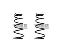 Set Di Molle Della Sospensione SPIDAN Per Suzuki SX4