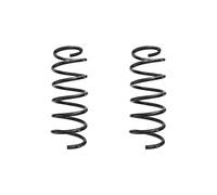 Set Di Molle Dell'Assetto Anteriore 315Mm SPIDAN Per COLT CZC