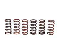 Set di molle frizione TRW MEF300-6