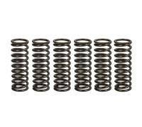Set di molle frizione TRW MEF308-6