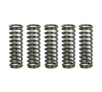 Set di molle frizione TRW MEF319-5