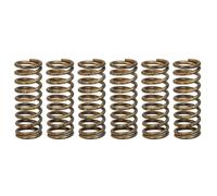 Set di molle frizione TRW MEF341-6