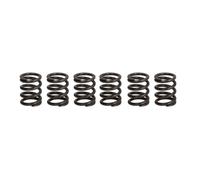 Set di molle frizione TRW MEF373-6