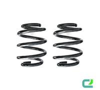 Set Di Molle Posteriori 194Mm Spidan Per Mercedes Classe A W176