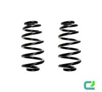 Set Di Molle Posteriori 287Mm SPIDAN Per AUDI A4 B7