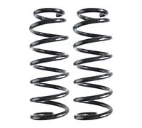 Set Di Molle Posteriori 296Mm SPIDAN Per Altri Outback BL