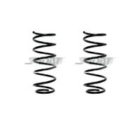 Set Di Molle Posteriori 312Mm SPIDAN Per Ix20 (JC)