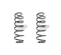 Set Di Molle Posteriori 320Mm SPIDAN Per Vari Modelli Tra Cui FORD FIESTA VI