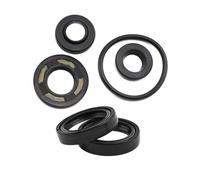 Set di olio smorzatore di forcella anteriore e posteriore compatibile con parti di sostituzione dell'ammortizzatore motociclistico TTR250 TTR 250