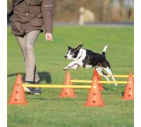 Set di ostacoli Trixie Dog Activity, 3 pz - Ø 23 × 30 cm, 78 cm