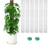 Set di pali in plastica per muschio da 61 cm, supporti a forma di D per piante rampicanti con attacco piatto per radici e sostiene l'umidità per incoraggiare una crescita più forte e più sana (6 pezzi