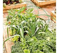 Set di pali per serra in fibra di vetro per protezione delle piante, consentendo il montaggio di tunnel personalizzati e coperture sicure per mantenere condizioni di crescita ottimali contro gelo e