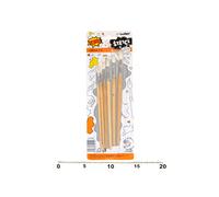 Set di pennelli 1-6