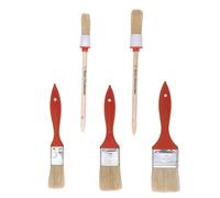 Set di pennelli assortiti piatti e tondi 5 pz