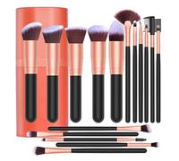 Set di pennelli da trucco, set di pennelli da trucco | 16 pennelli per polvere con barile di stoccaggio | Kit di pennelli per il viso portatile, strumenti di bellezza alla moda, pennello per