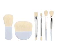 Set di pennelli da trucco | Set di pennelli da trucco professionali per tutto il viso | Set da viaggio da 6 pezzi con astuccio per fondotinta, fard, bronzer, ombretto e altro ancora
