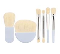 Set di pennelli per trucco da viaggio, set di pennelli per trucco da viaggio facili da trasportare da 6 pezzi con scatola per quando sei in movimento