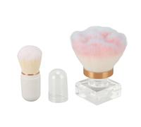 Set di Pennelli per Trucco Pennelli per Fondotinta in Polvere in Fibra Sintetica Manico Trasparente Capsula Bianca Blu Rosa e Pennello Cosmetico Compatto con Scatola per Fard in