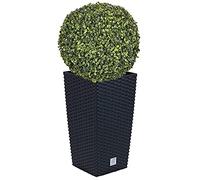 Set di pentole Rato 35 litri con inserto 28,7 x 28,7 x 55 cm in colore antracite + Sfera di bosso diametro 36 cm