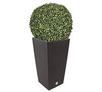 Set di pentole Rato 35 litri con inserto 28,7 x 28,7 x 55 cm in colore ocra scuro + Sfera di bosso diametro 36 cm