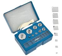 Set di Pesi di Calibrazione 17PZ Acciaio Inossidabile, Kit di Precisione per ...