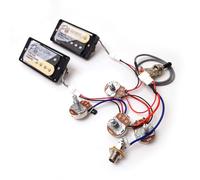 Set di pickup ProBucker Alnico 2 Humbucker per chitarre Gibson Les Paul, pickup per manico e ponte con terminali Quick-Connect a 2 conduttori, cablaggio 2V2T, aggiornamento al suono vintage (zebra)