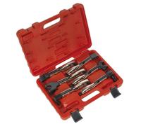 Set Di Pinze A Blocco Assiale Sealey 6 Pezzi AK68403