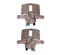 Set Di Pinze Freni 1 Piston Ø 48 Mm Ghisa A.B.S. Per Altri MG MGF