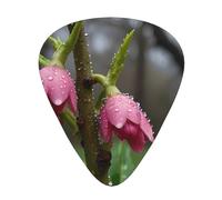 Set di plettri per chitarra, 12 pezzi, con stampa di boccioli a molla dopo la pioggia, disponibile in 3 spessori, adatto per chitarre acustiche ed elettriche