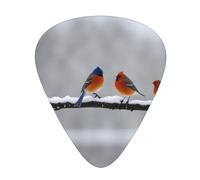 Set di plettri per chitarra da 12 pezzi, comodi da tenere in mano, con bordi lisci, tre spessori da abbinare agli uccelli nel parco in una giornata di neve