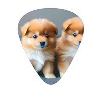 Set di plettri per chitarra Pomeranians Puppies and Point 1, materiale ABS di alta qualità, vari spessori, migliora la tua esperienza di gioco