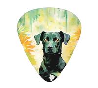Set di plettri stampati con cane in piedi, 12 pezzi, sottili, medi e spessi, adatti per chitarra, basso, chitarra elettrica e ukulele