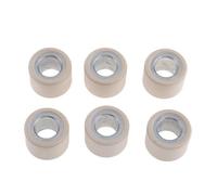 Set Di Prestazioni Pesi Del Rullo Variatore 24.5G 23.8x18