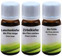 Set di Profumi Legnosi - Pino Mugo, Cirmolo e Abete Biologici - 3 x 10 ml