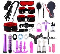 Set di Protezione Sportiva Regolabile, 28 Pezzi di Fasce Elastiche di Famiglia, Un Set di Accessori Rossi, Set di Attrezzature per Yoga, Regalo Fitness per Coppia
