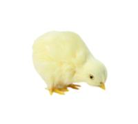 Set di pulcini pasquali, mini pulcini in plastica di peluche, statuette di pulcini pasquali, topper per torte, statue di animali della fattoria, decorazioni da tavola per bomboniere pasquali