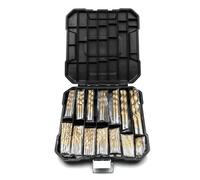 Set di punte elicoidali da 99 pezzi 1/4 "-1/16" Protezione antiruggine contro l'usura Acciaio ad alta velocità rivestito in titanio Punta da trapano Atterraggio