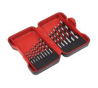 Set Di Punte Per Legno A Punta Brad Sealey 15 Pezzi AK3715W