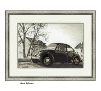 Set di punti a croce Riolis "The Beetle", schema di conteggio