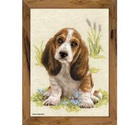 Set di punti croce Riolis "Basset Puppy", schema di conteggio