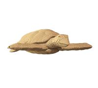Set di puzzle 3D Cartonic - tartaruga - Puzzle 3D in cartone - Il cartone si trasforma in una figura in rilievo - tutte le età - Turtle - 240 pezzi Cardboard 3D Jigsaw Puzzle