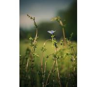 Set di puzzle impossibili Butterfly da 5000 pezzi, giocattoli puzzle 3D, regali unici, decorazioni per la casa 14 anni+