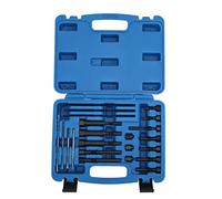 Set di rimozione candelette, strumento di estrazione candelette portatile completo in metallo ad alta precisione 22 pezzi/kit per manutenzione,utensili manuali