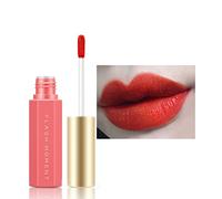 Set di rossetto liquido vellutato opaco, durevole, impermeabile, non infiltrato, altamente pigmentato, per il trucco delle donne, set di rossetto liquido impermeabile