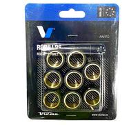 Set di rulli del variatore TECNIUM 25x17mm 15gr - 8 pezzi per PIAGGIO