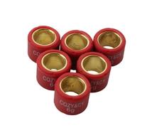 Set di rulli variatori di scooter 16x13mm 4g 4,5g 5g 5,5g 6g 7g compatibile con 50cc dio sp - sfx sj bali sh visione piombo srx x8r(16x13mm 6g)